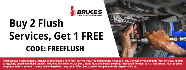 Buy 2 Flush Services, Get 1 FREE